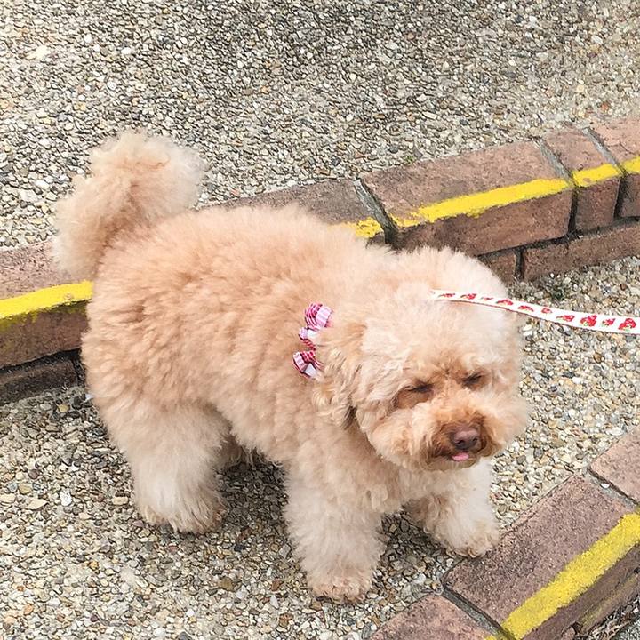 8eba9e77 5a82 47f7 80e2 f6a0fb76c817