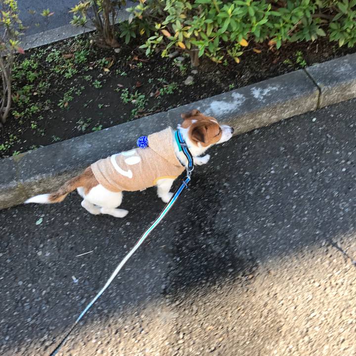 8ebaa8f6 e48a 4c60 82cc 25662f867c56