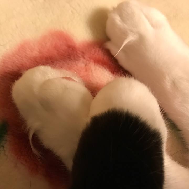 8ebabc02 24ae 459b a071 10488825e1d7