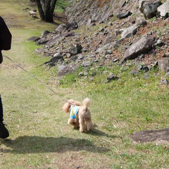 8ebaf67e 212c 40b4 8241 cc259e8b5d10