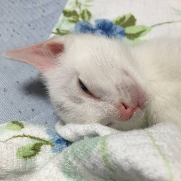 8ebb11c7 b80d 46d7 aa33 c272e145b7f4