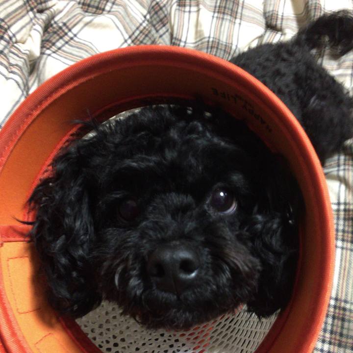 8ebb822c cdd2 4938 85cd 3c3e92ff8dee