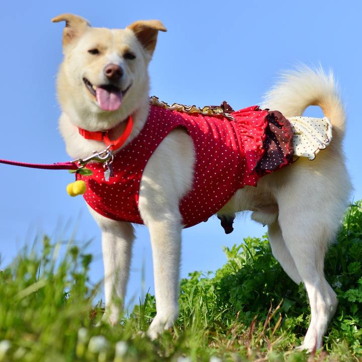 8ebc4899 0963 454a bf2e 85eb7a2438e0