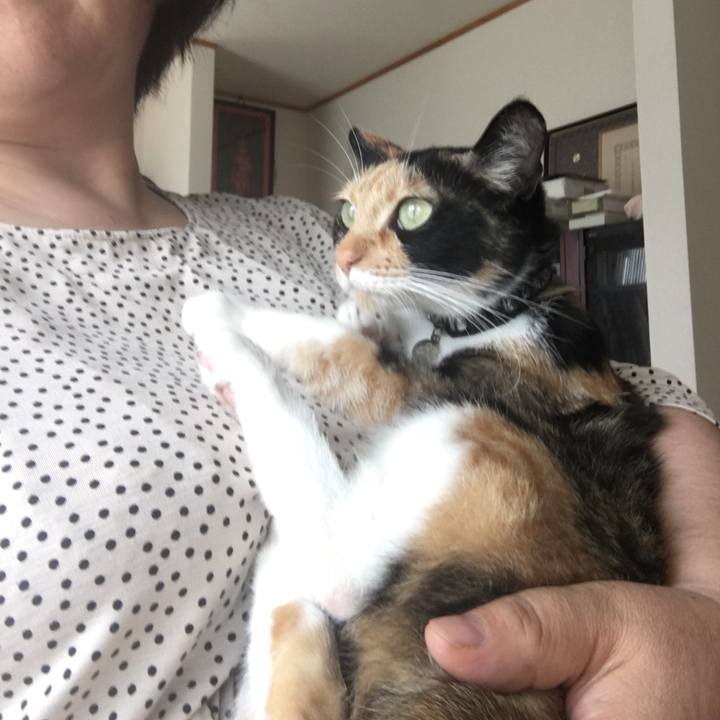 8ebc4eaa 55cf 4885 bbd2 e5cc7d982624