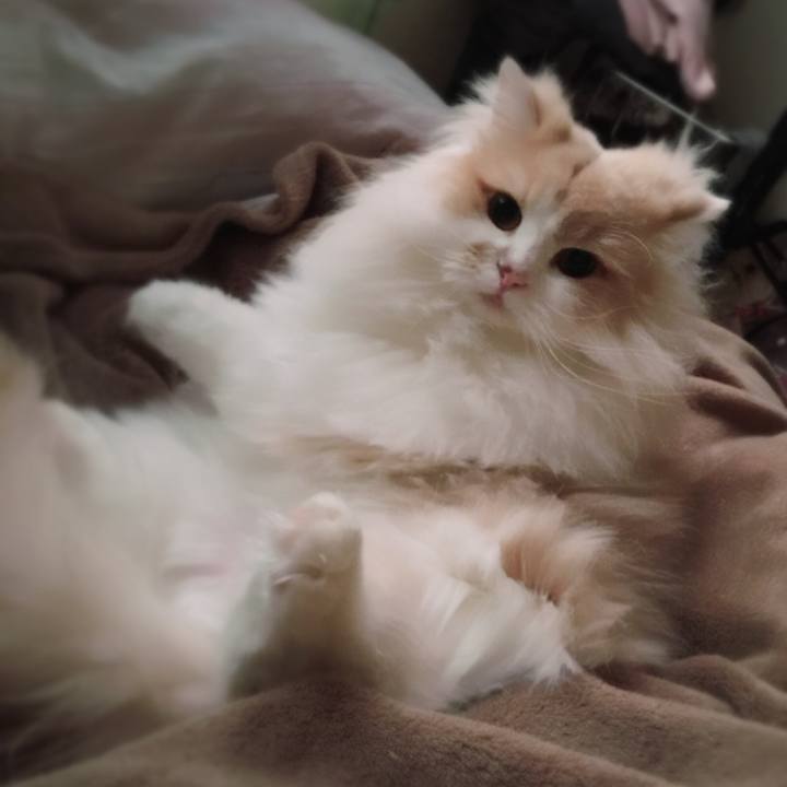 8ebd9619 5ca1 4173 8897 cdc0091fcef0