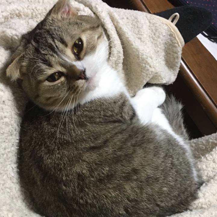 8ebe4942 6a4b 478d ac7f cd924355a15c