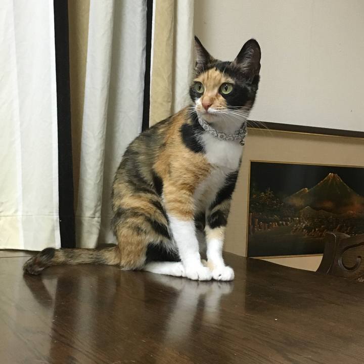 8ebe7f17 6423 4548 8b40 131b8ac073d9