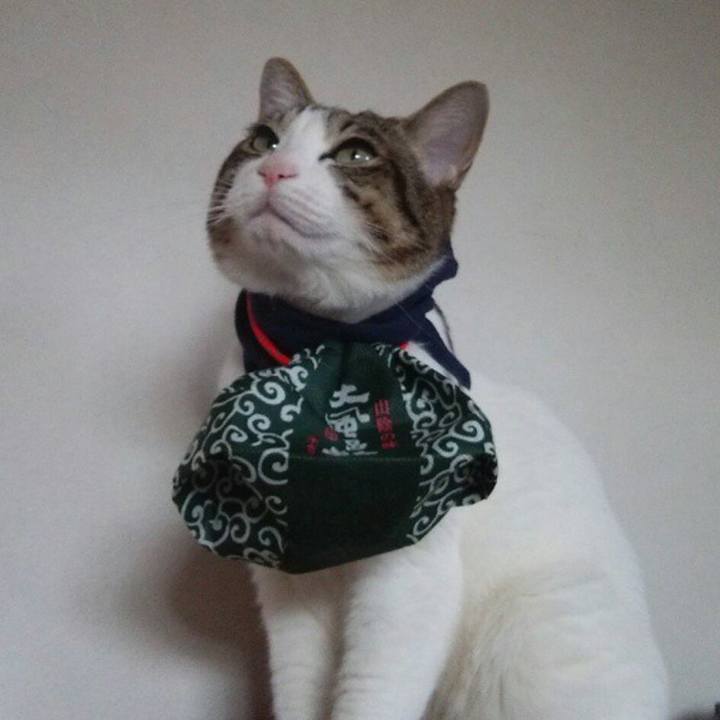 8ebeccc2 47ef 4965 957a 7fb367f9167e