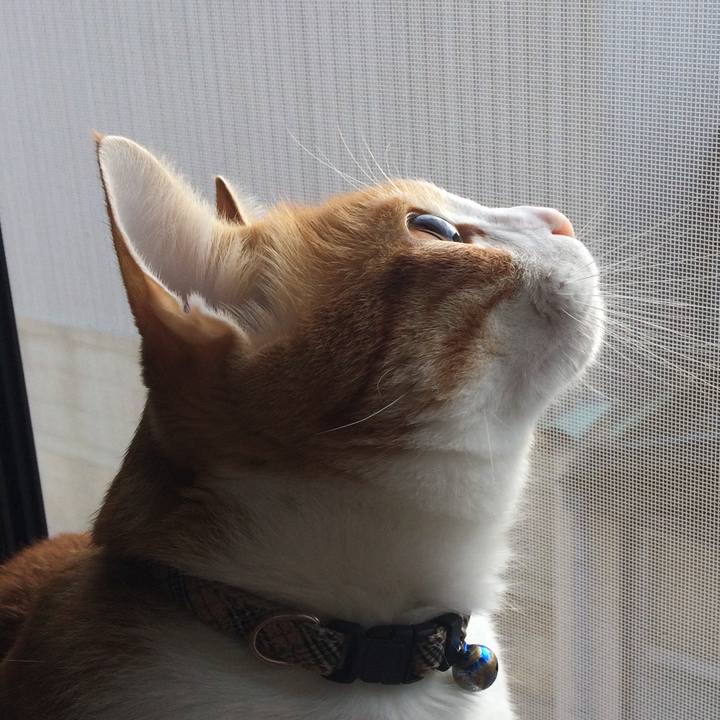 8ebf7eea 0720 4092 b24d 629117544e7f