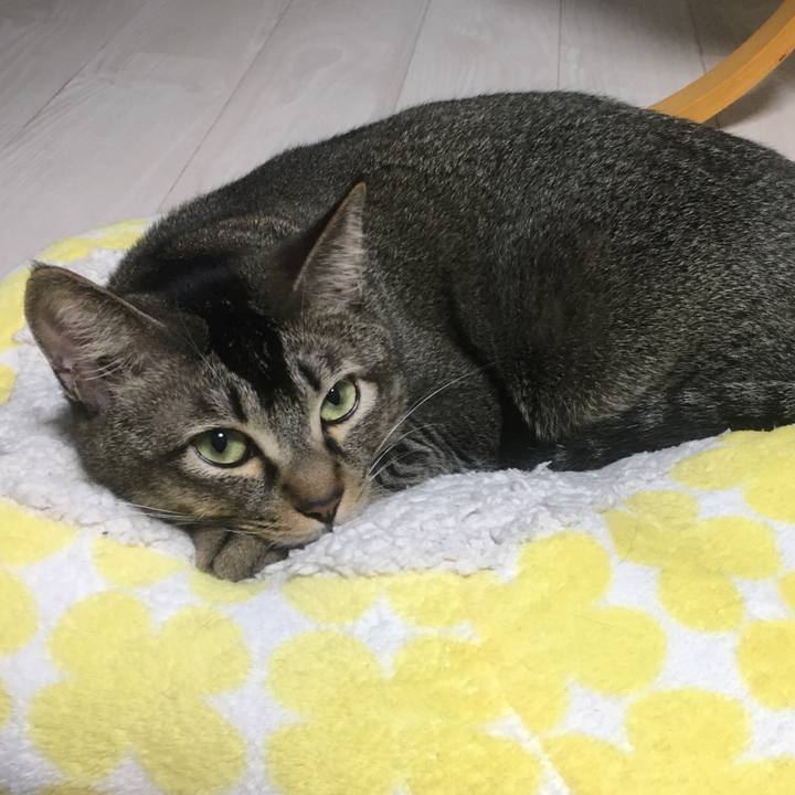 8ec07902 076c 4841 9ea8 a7b20c64412b