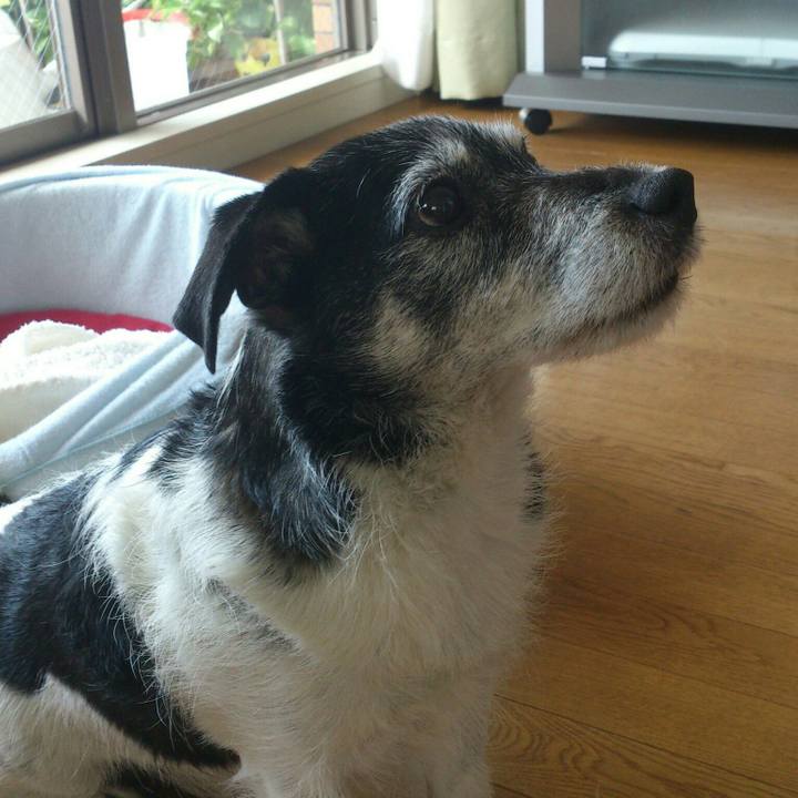 8ec146b6 48ed 4368 bfdf e1388cccf90e