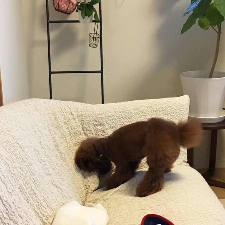 8ec1907b 2009 4fbe 9453 2739887e4a31