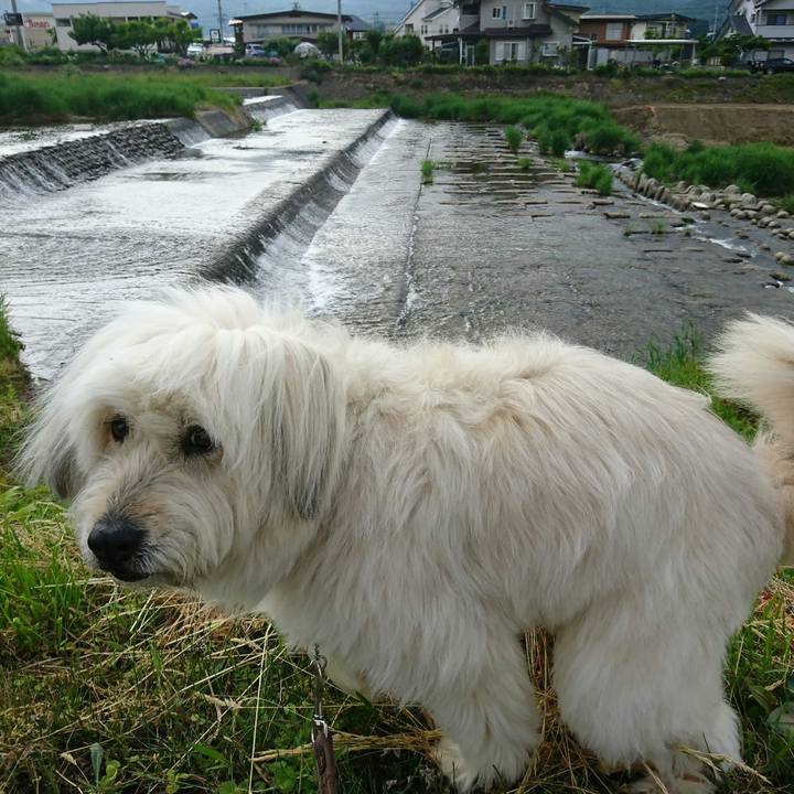 8ec2601f 2c95 4c39 a402 a99a6c389921