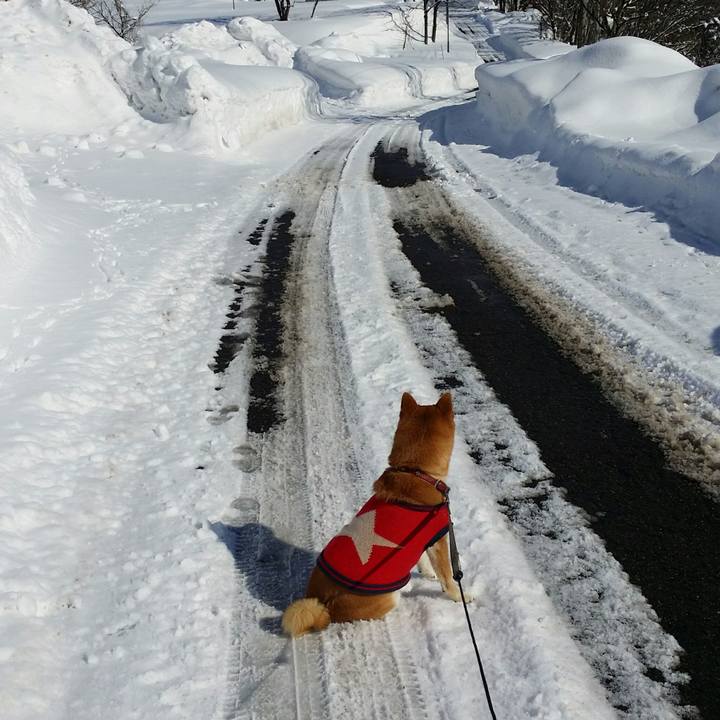 8ec2b499 3ccb 4063 9735 8b6cf31a6e42