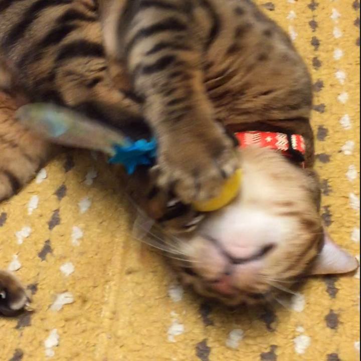 8ec2f3ba f8d9 4a7f 9663 232c7eb1bd75