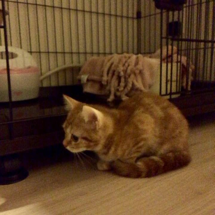 8ec2f4e8 b25b 4c9c ba00 89120c32e943