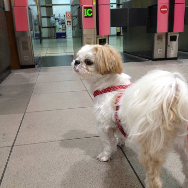 8ec3a1d9 1201 4a63 ac8e 93af609e1e6f