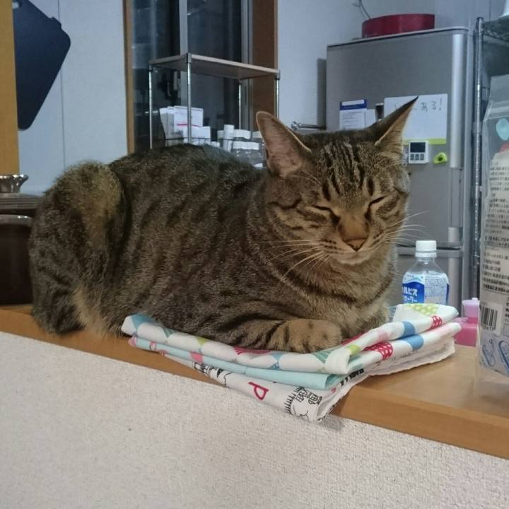 8ec51959 d365 4111 9c45 f1e2be68a646