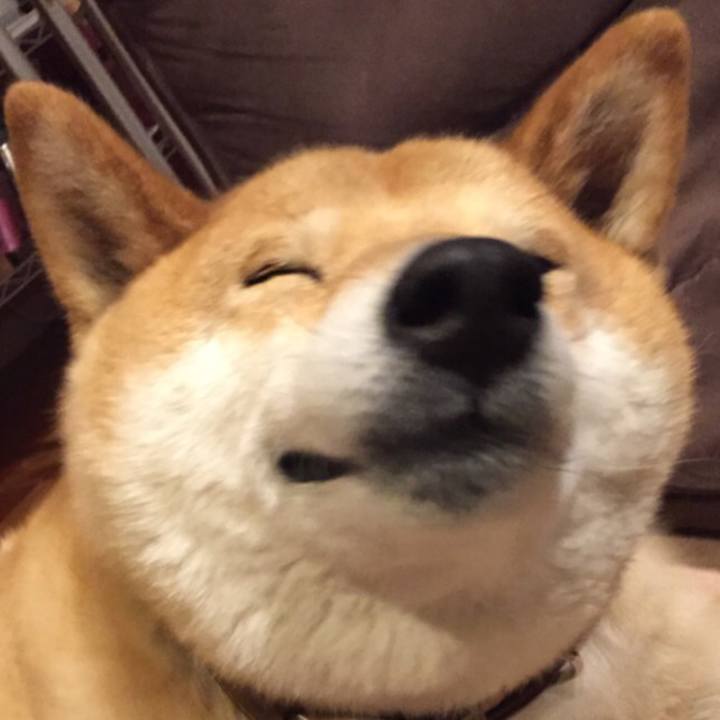 8ec53569 a34b 4a45 affc e3aad6287171