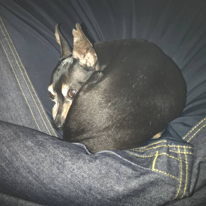 8ec59736 8dd4 4024 9c95 be7cd30a0f9a