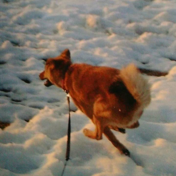 8ec66e6c 771f 42bd bfa4 37c3b00616df