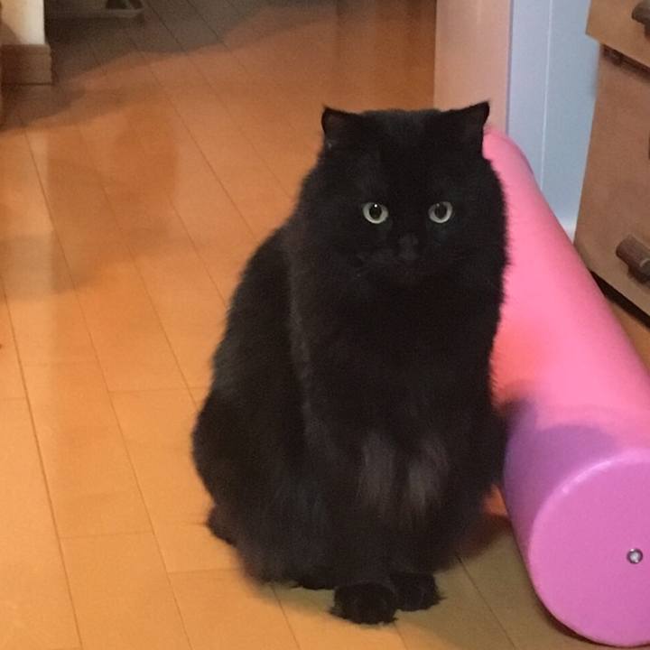 8ec6efbc 6bc9 4065 af58 fef3e9040707