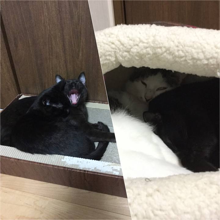 8ec80488 6db0 4d79 8d7c 9b122846a199