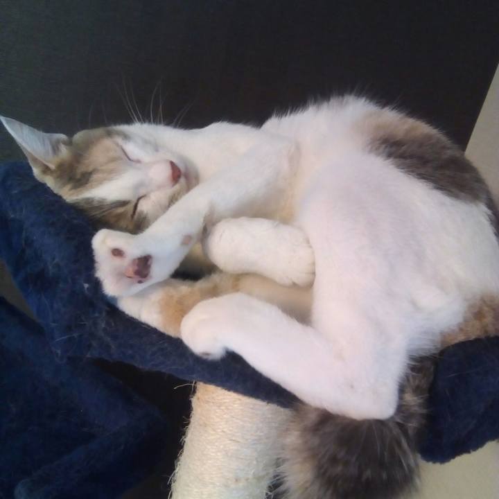 8ec8cb16 697f 4d82 a151 ffe51a4e2b8e