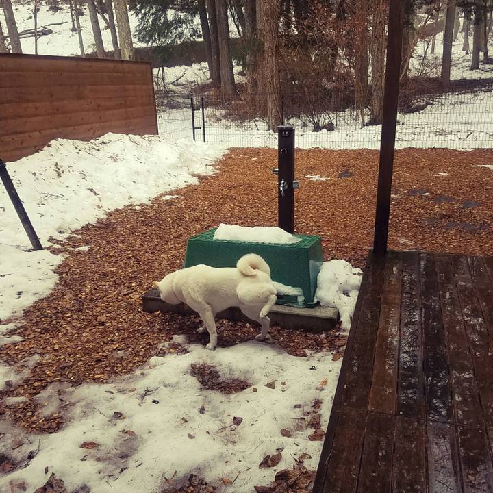 8ec8e343 5b81 4b2f b37a 43957faed238