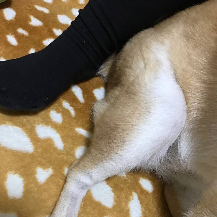 8ec96ad1 04f5 4f68 9628 b03093ca2913