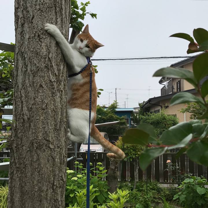 8ec9808d 33e8 4ddb b05c 5a0107e7d309