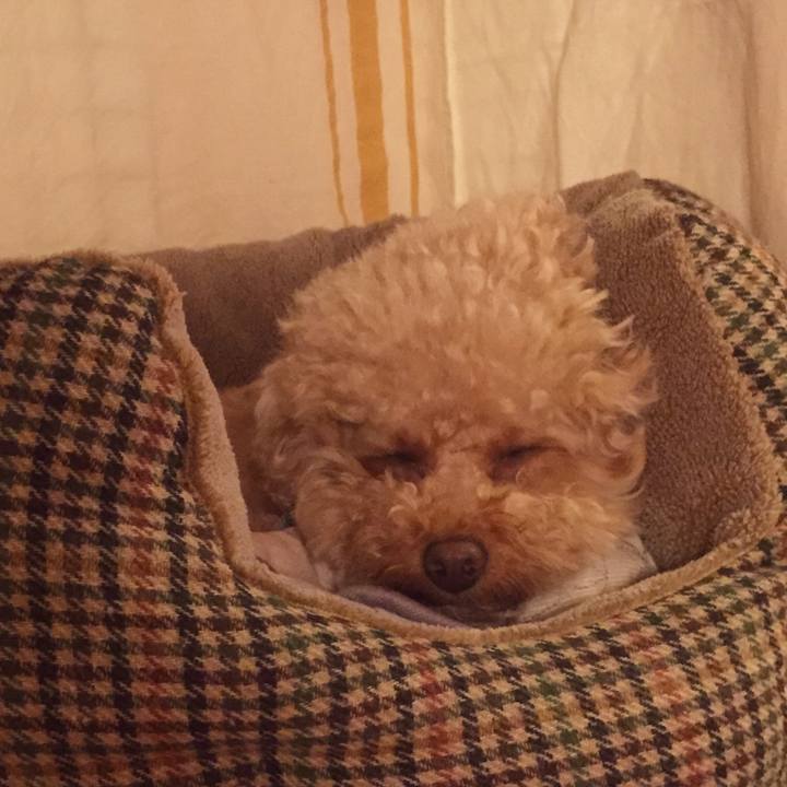 8ec9d4ca 645a 4135 9386 0718fe205639