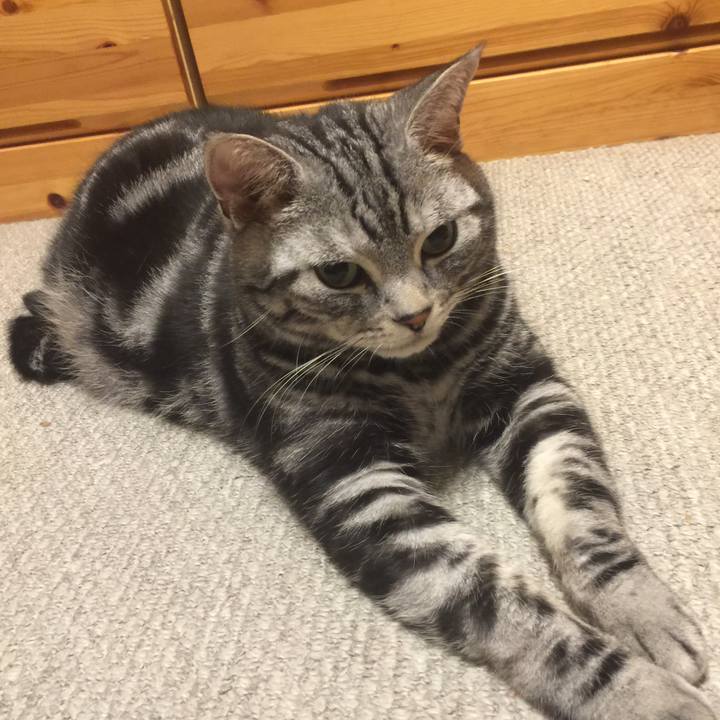 8ec9dd2f 7a6f 43f8 a432 7f28707587a1