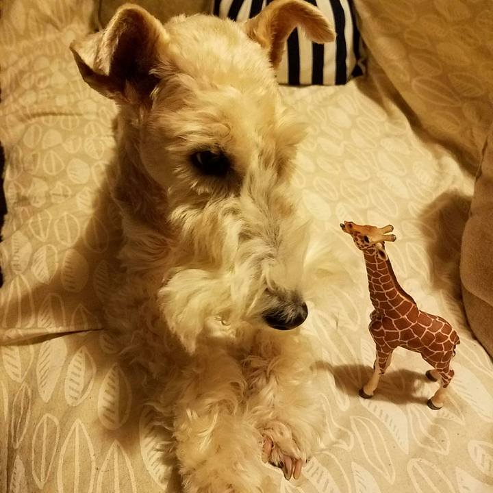 8eca36d4 5321 498e bcfd d04b08eb6ad1