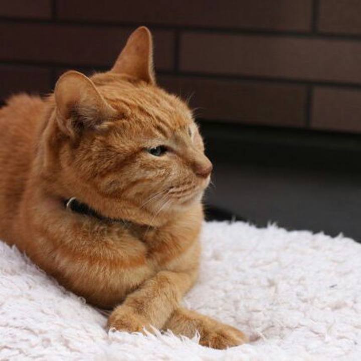 8eca9f4b 858a 4c58 996f abd4a23ed12e