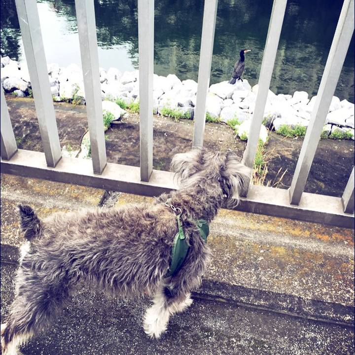 8ecaf261 aa38 4c61 ac89 a9ca83fd2d4c