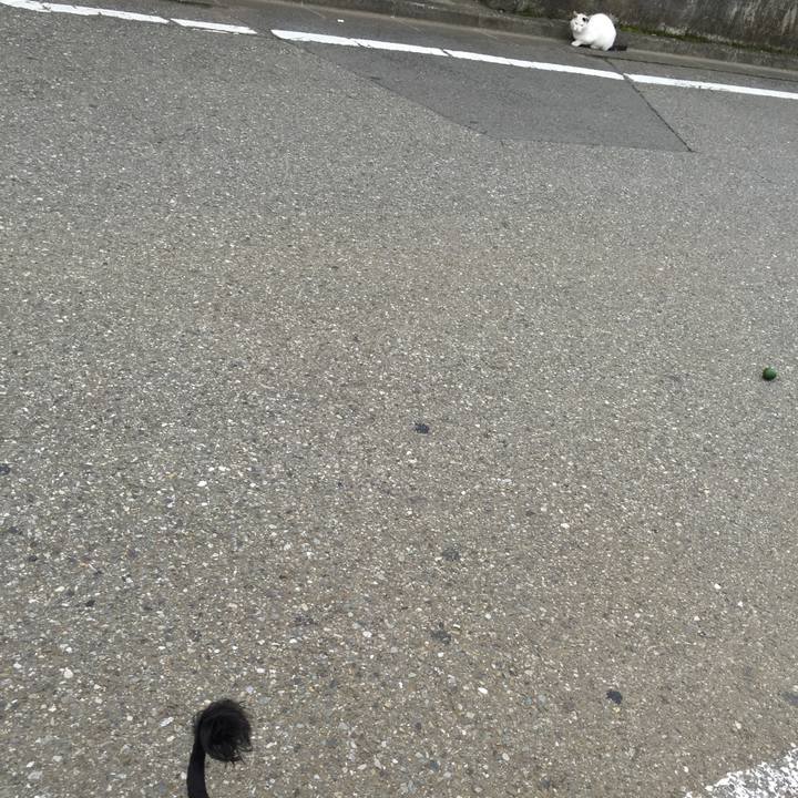 8ecba912 094c 40fa a385 78fe74bcbd6d