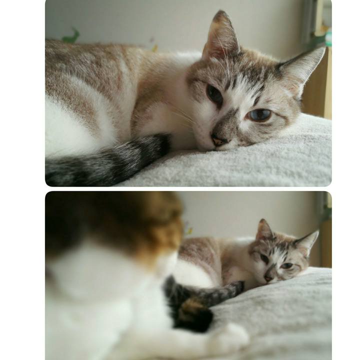 8ecbd4d9 c0d2 45ad 84b6 1cc301ec8607