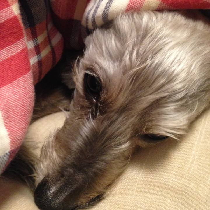 8ecc0542 c874 4ae5 a1e1 0c1c202b8594