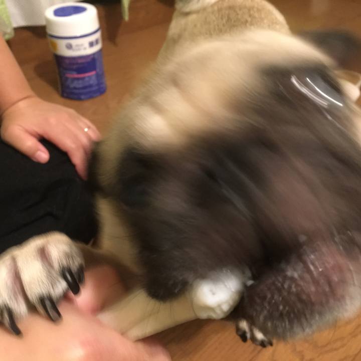 8ecc55cb de76 4219 b4b5 85b4b7c4da04