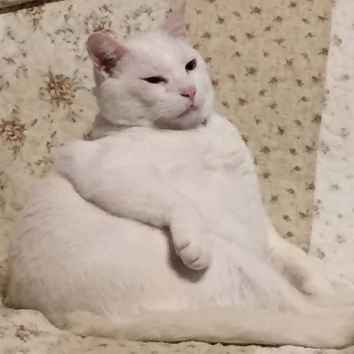 8ecc79be 8b8e 4c61 b9d6 1cb801aac851