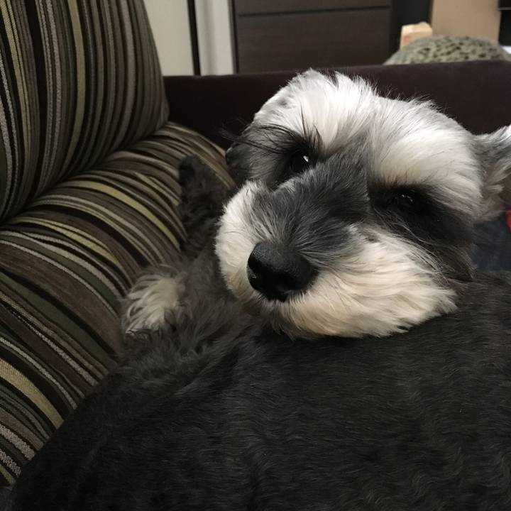 8ecd52ac 325d 4a0e bba5 036e6597343e