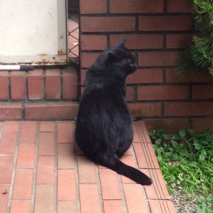 8ecdc6e4 2df7 402c b002 75cc6459e147