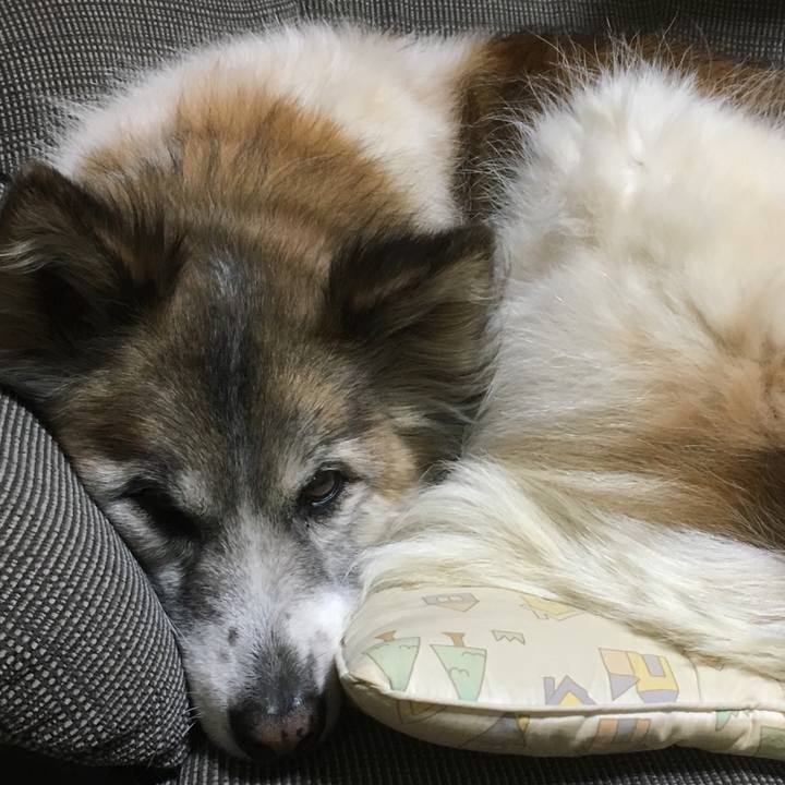 8ecea294 9b99 4ce1 9fe7 1233138808b5