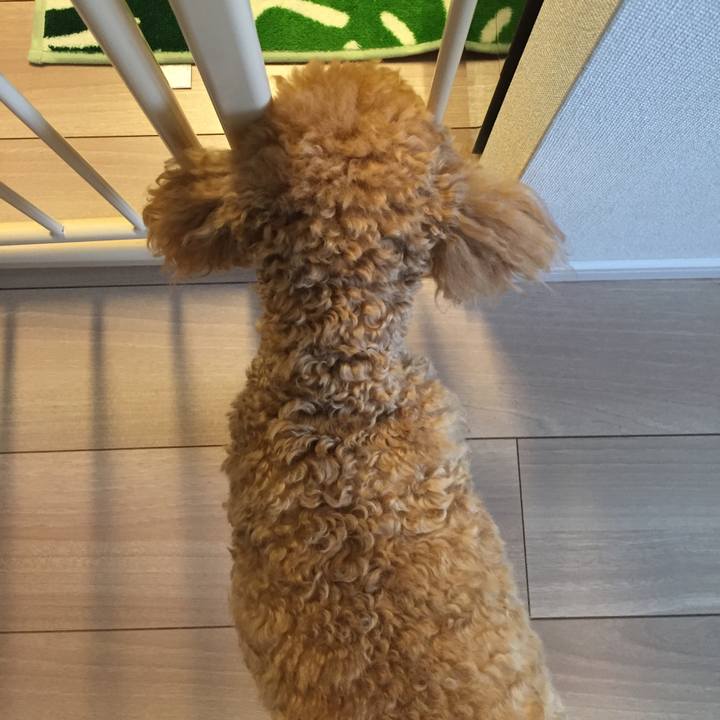 8eceb8bb 52f7 45b0 84a0 68695f81e5d3