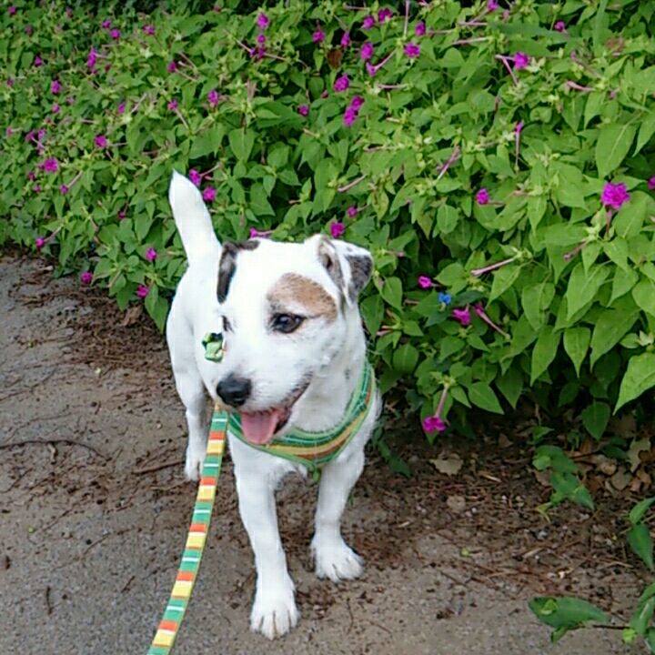 8ecf1af0 3476 41fb bd24 030e3345353e