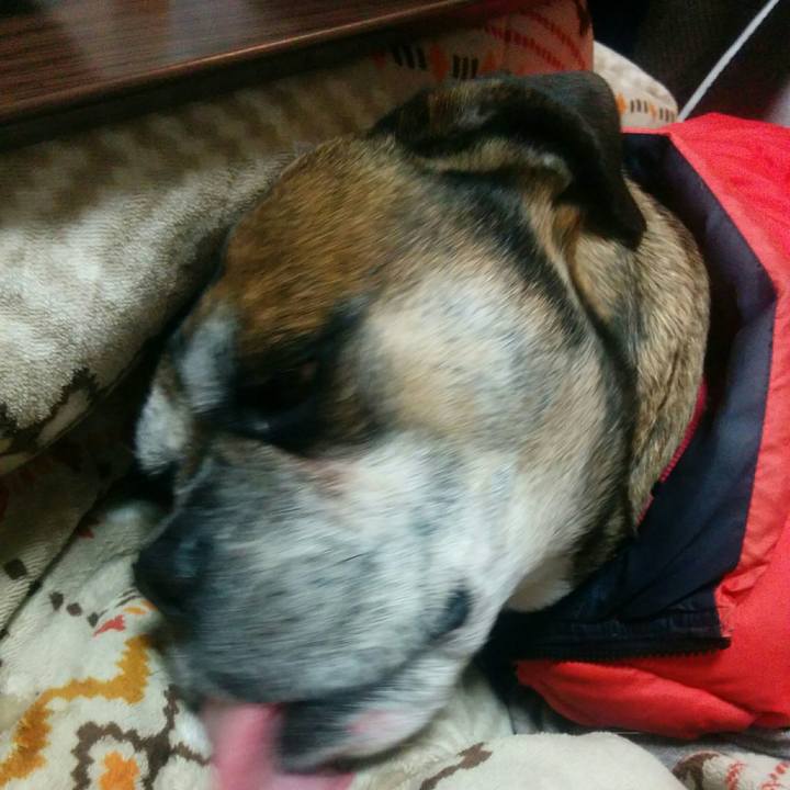 8ecf263e 561e 49c6 93b4 947924c78293