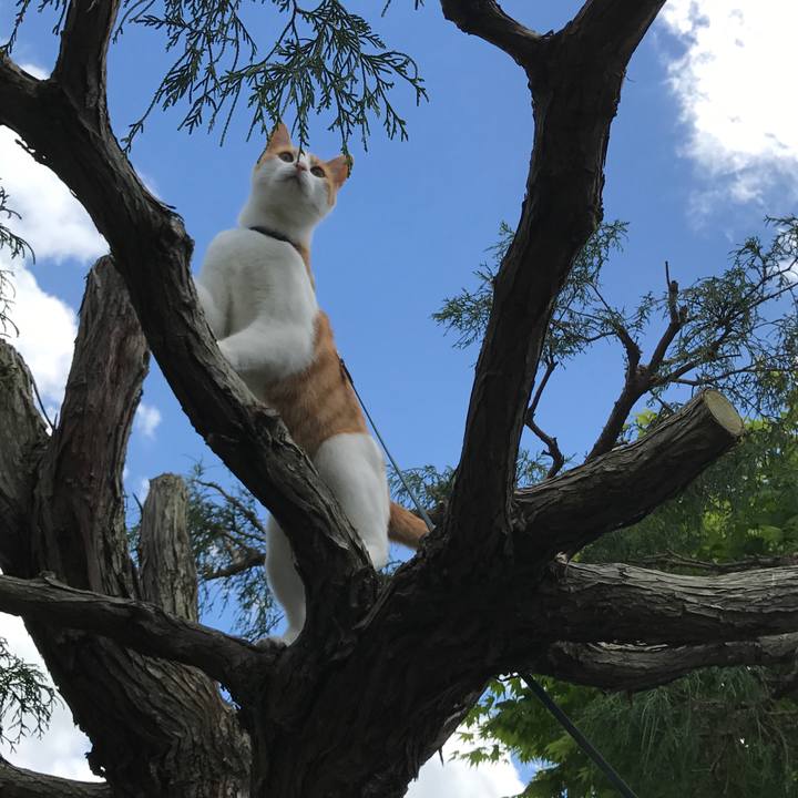 8ecfd9e4 33ae 4ce4 9697 e10860635fd0