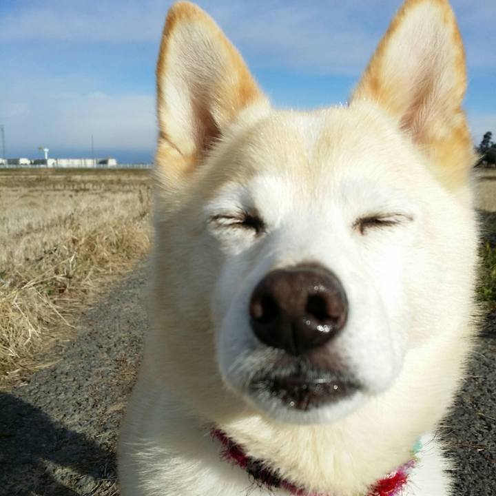 8ecff2f3 d0c1 4010 b462 16118e24fe16