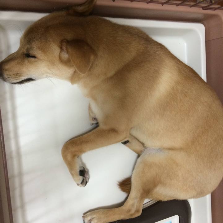 8ecff9ee 22b6 4f81 976b 186d82af16cd